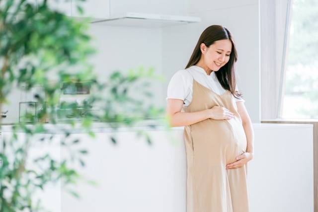 卵子の質を上げる卵活とは？/大阪府枚方市で婚活・妊活するなら保育園が運営する結婚相談所がじゅまる木